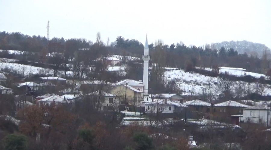 Karlı Ağaçlar