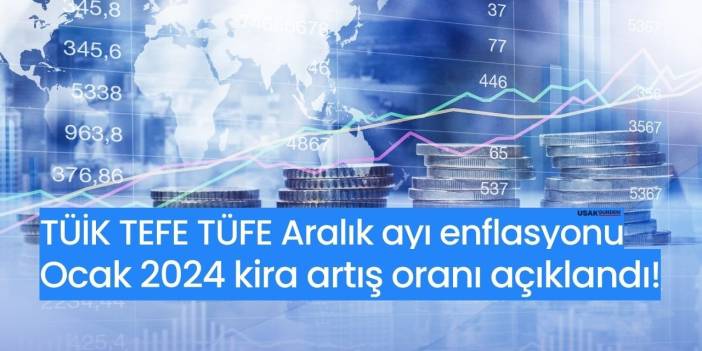 Aralık 2023 enflasyon oranı