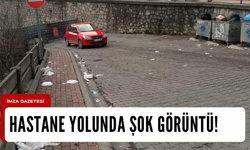 Hastane yolu mikrop saçtı!