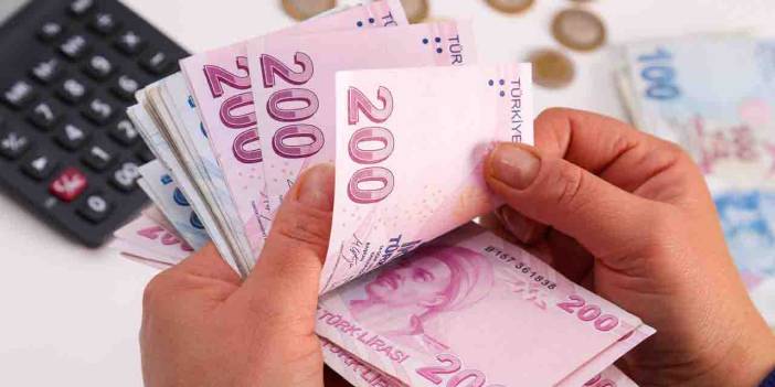 Her ay 7.698 TL destek! Başvuranın parası banka hesabına yatıyor!