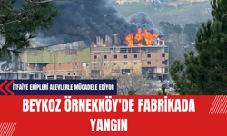 Otobüste Yaşlı Çifti Döven Okul Müdürü Tutuklandı! Milli Eğitim Müdüründen İlk Açıklama Geldi Beykoz Örnekköy'de Fabrikada Yangın: İtfaiye Ekipleri Alevlerle Mücadele Ediyor