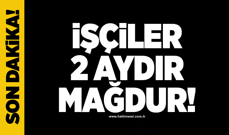 İşçiler 2 aydır mağdur!