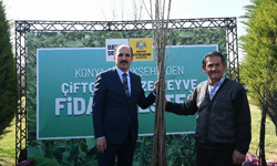 17 milyon fidan ve fide desteği