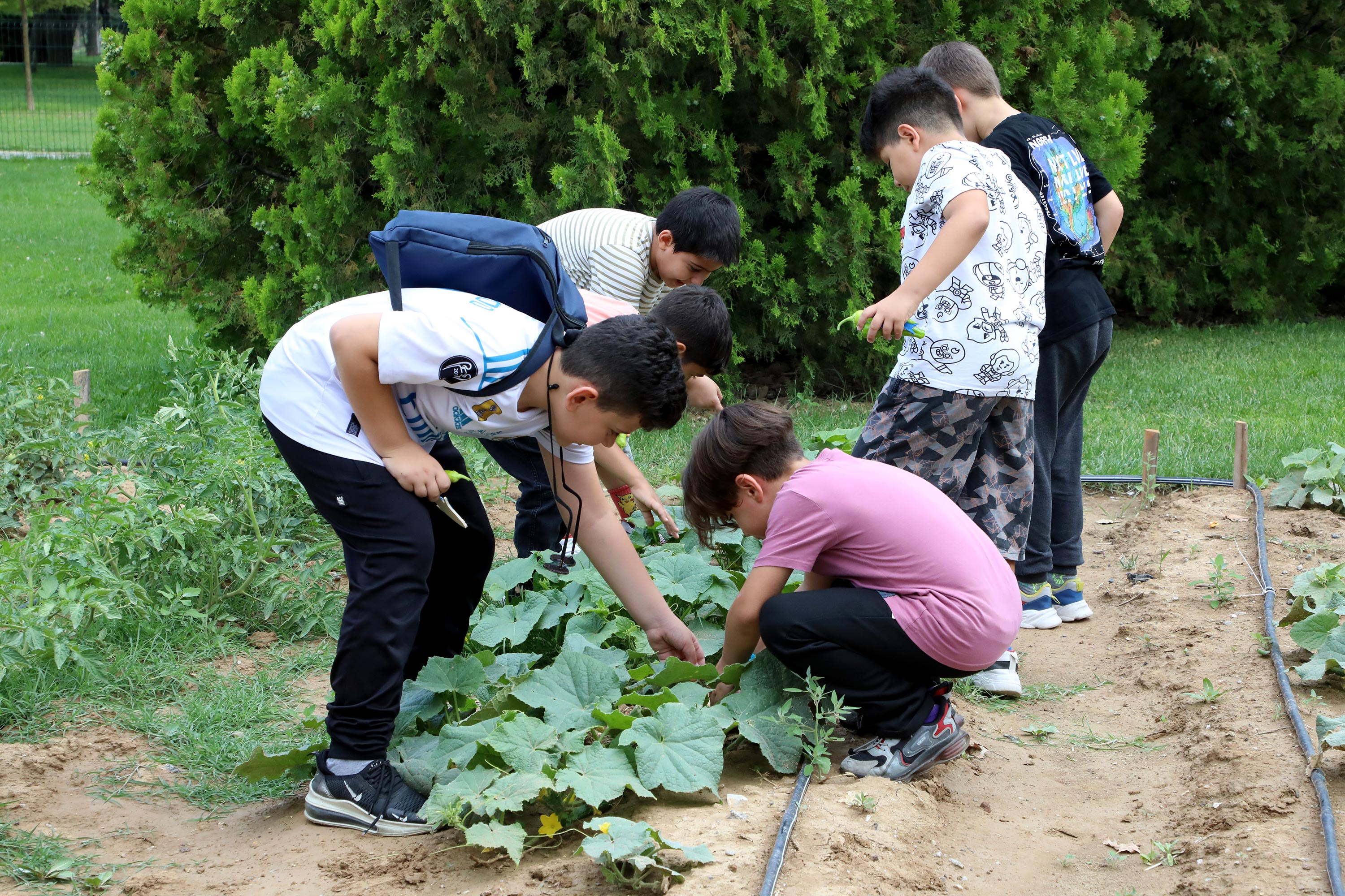 1722200855 476 Tabiatin Icinde Hem Ogreniyor Hem Egleniyorlar Konyada 1500e Yakin Ogrenci
