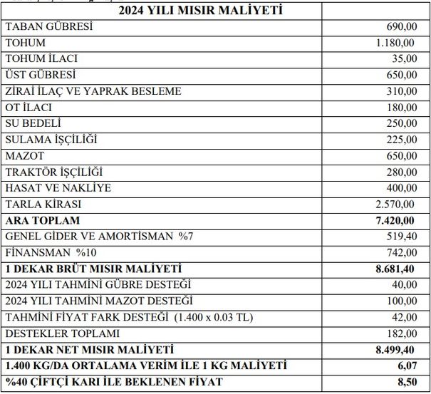 Mısır Üretim Maliyet ve Fiyatı