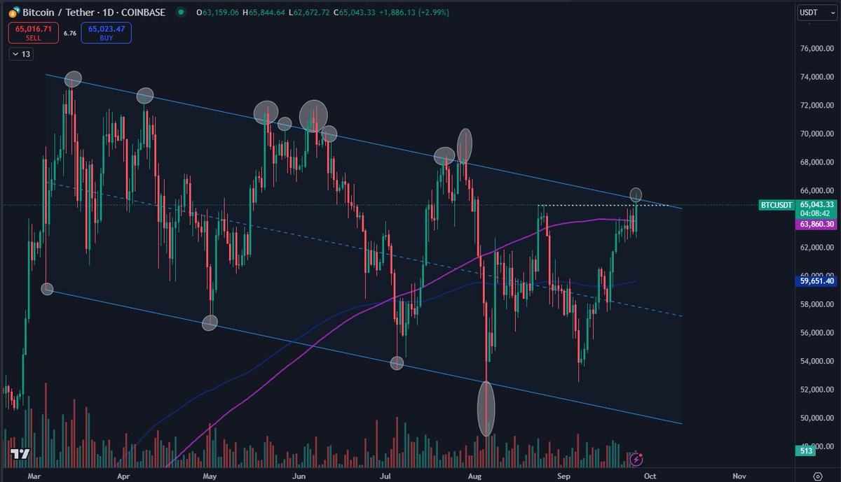 Daan Crypto Trades Tahmini