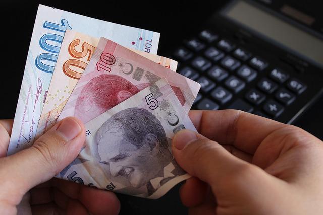 Devlet Okullarının İçinde Özel Okullar: Paralar Nereye Gidiyor? Ücret Toplama