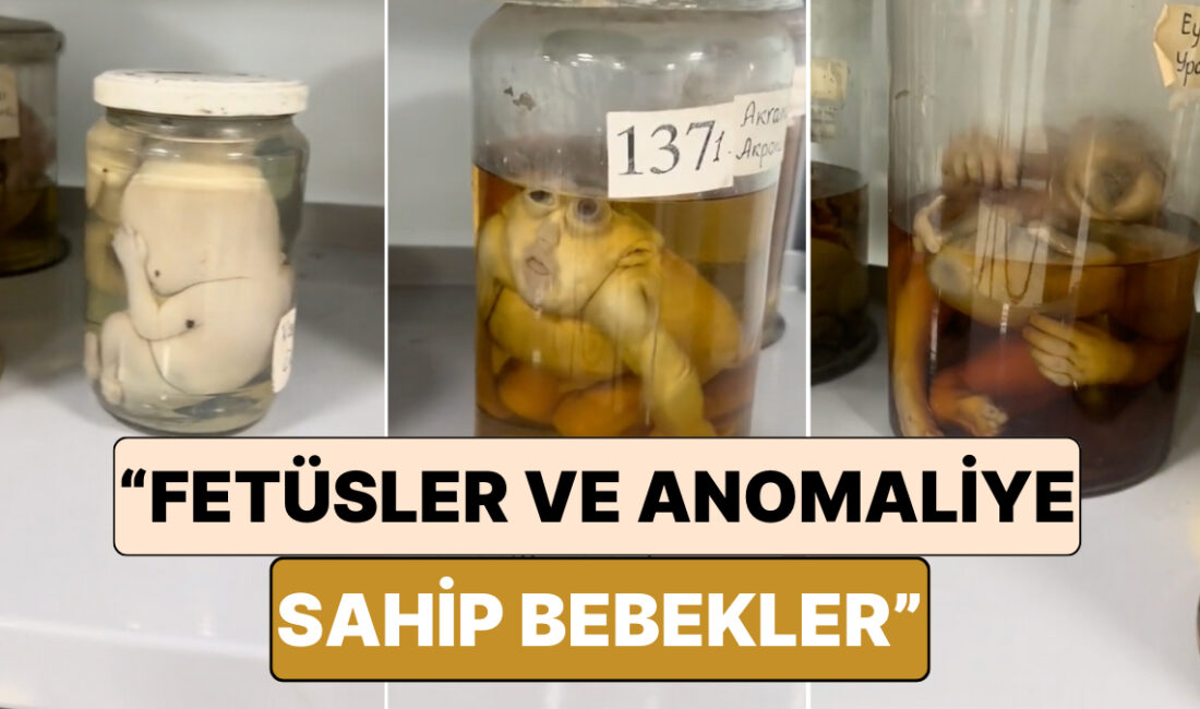 Tıp Eğitimi: Bireye Kapılarını Sonuna Kadar Açan Eşsiz Deneyim Tıp