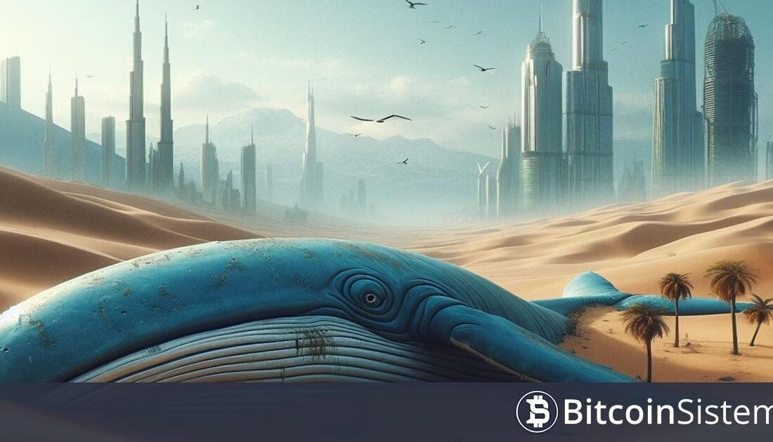 Kripto Para Balinası, 32 Milyon Dolar Değerindeki Altcoin’i Hacker’lara Kaybetti