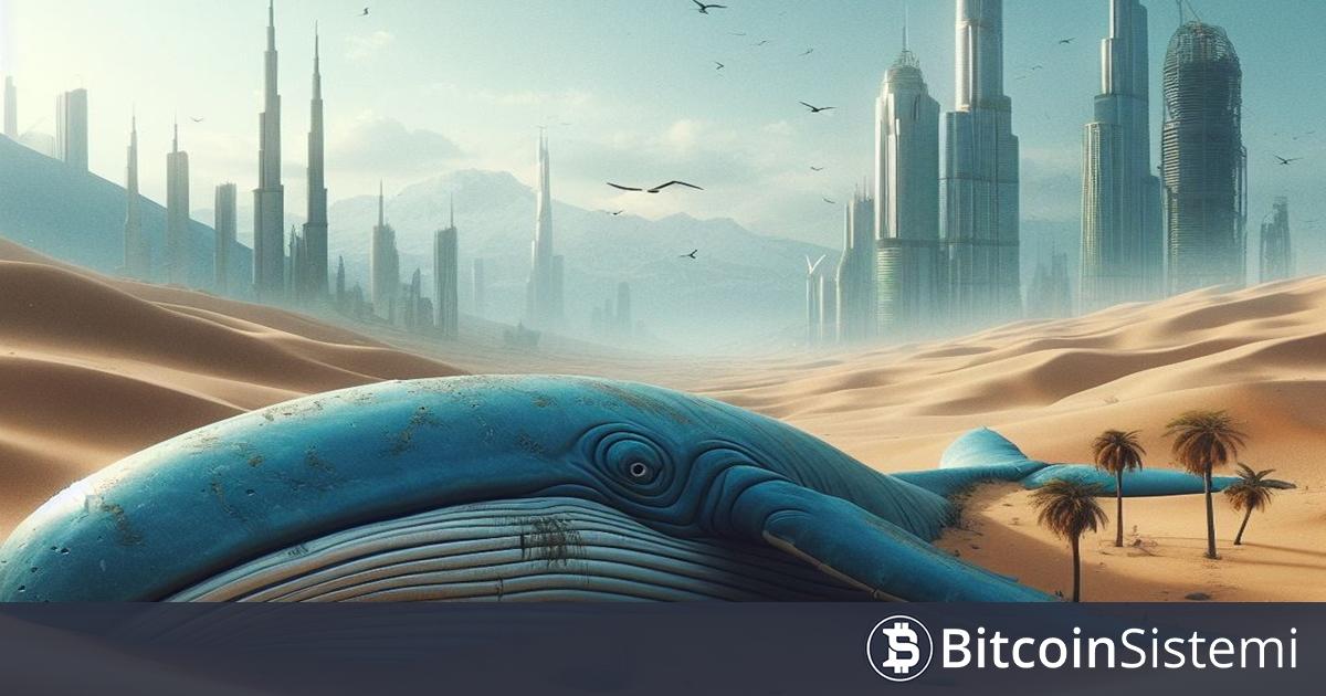 Kripto Para Balinası, 32 Milyon Dolar Değerindeki Altcoin’i Hacker’lara Kaybetti