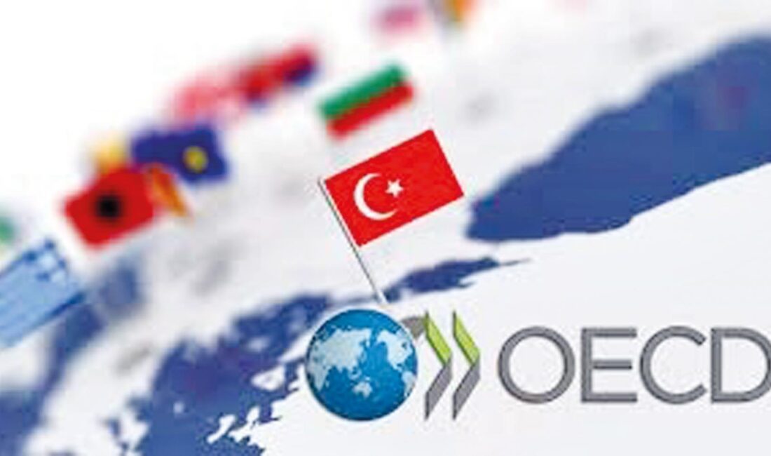 OECD, Türkiye Ekonomisinin Büyüme Tahminini DüşürdüHaberin BaşlıklarıOECD, Türkiye Ekonomisinin Büyüme