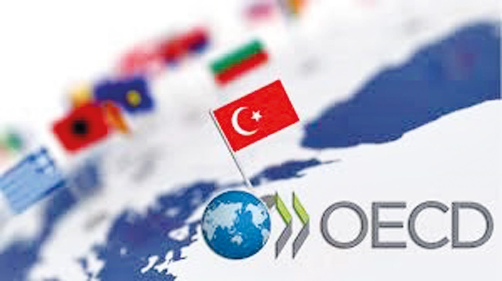 OECD, Türkiye Ekonomisinin Büyüme Tahminini Düşürdü OECD, Türkiye Ekonomisi İçin