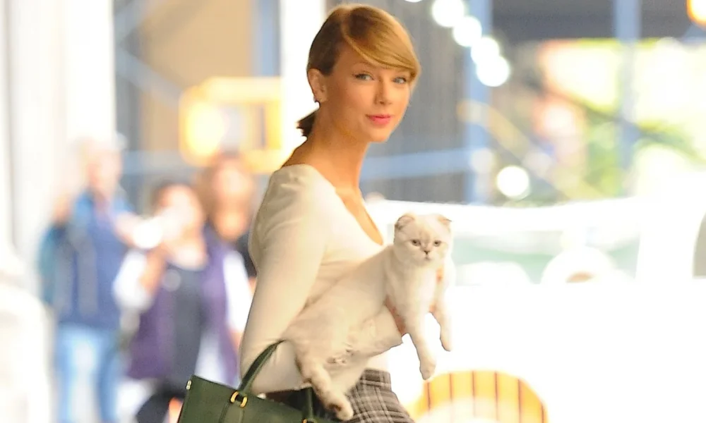 Taylor Swift, Demokratlara ve özellikle de Trump’çı “MAGA” yandaşlarına karşı