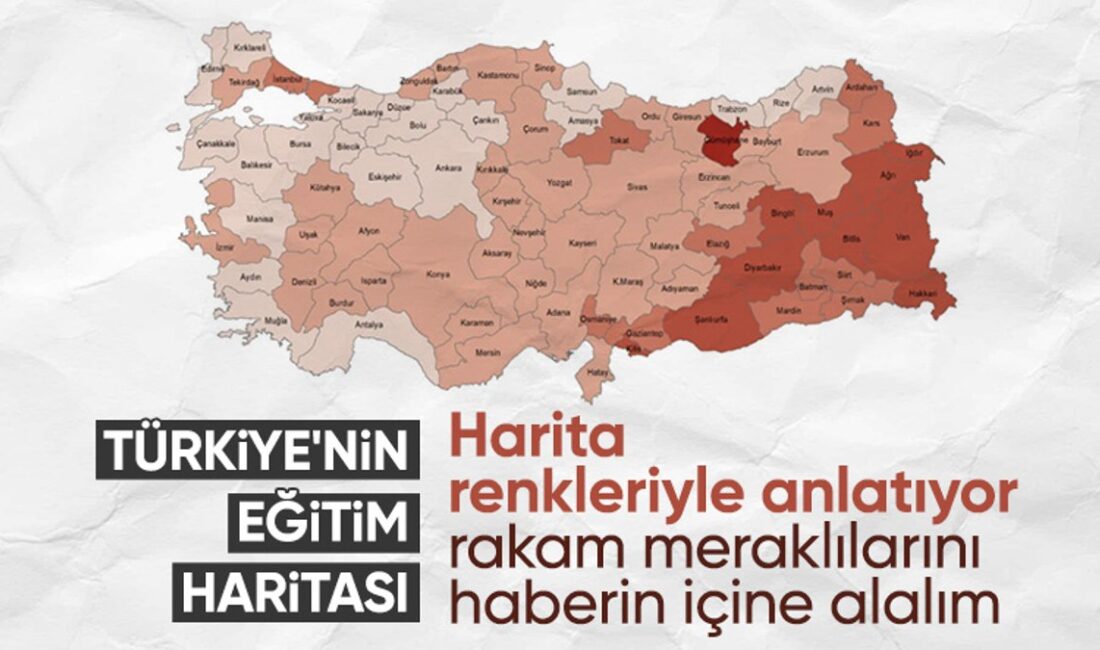 TÜİK, 2023 Yılında Türkiye’deki Muhtemel Eğitim Süresi Verilerini Açıkladı Eğitim