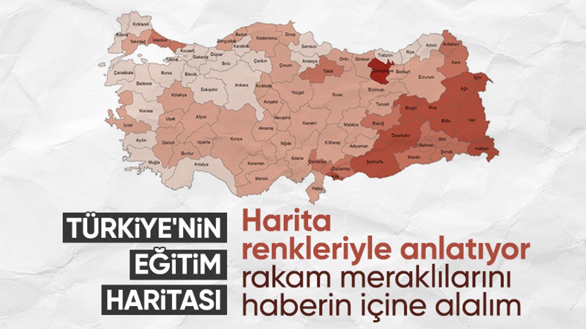 Turkiyede Ortalama Egitim Suresi 179 Yil Egitimdeki Uzun Yolculuk