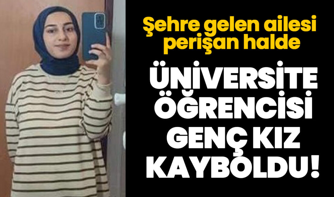 Rojin Kabaiş Van Gölü Sahilinde KaybolduHaberin BaşlıklarıRojin Kabaiş Van Gölü