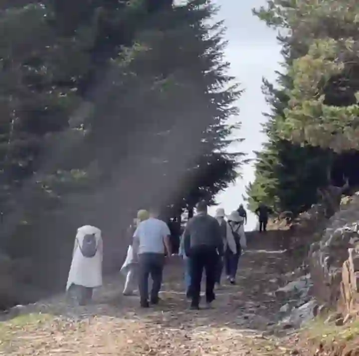 Hendek Öğretmen Akademisi'nde Doğal Yürüyüş Deneyimi Hendek Öğretmen Akademisi’nden Doğa Yürüyüşü