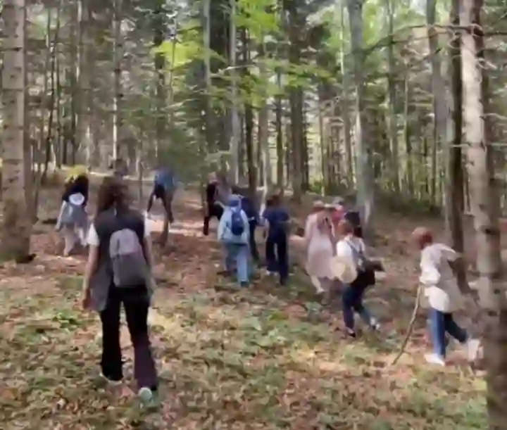 Hendek Öğretmen Akademisi'nde Doğal Yürüyüş Deneyimi Hendek Öğretmen Akademisi’nden Doğa Yürüyüşü