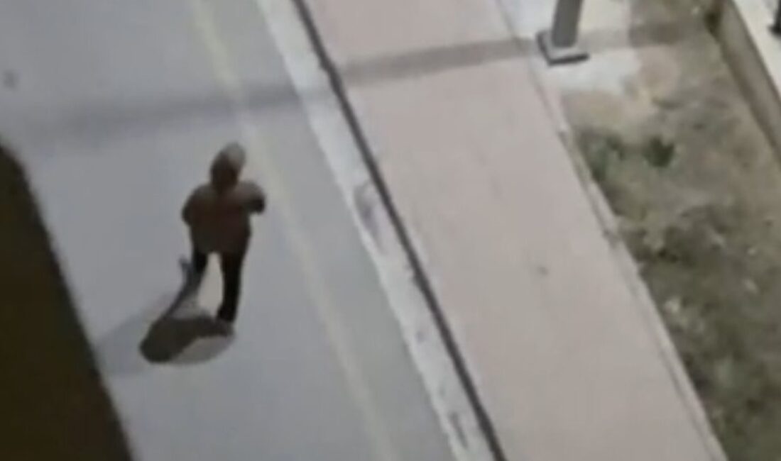 Binali Yıldırım KYK Kampüsünde Şüpheli Şahıs YakalandıHaberin BaşlıklarıBinali Yıldırım KYK