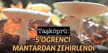 Taşköprü Merkez Yatılı Kur’an Kursu Öğrencileri Mantardan ZehirlendiHaberin BaşlıklarıTaşköprü Merkez