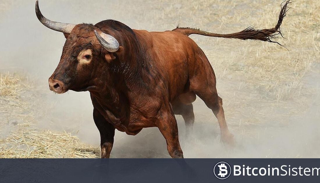 kripto para piyasasının tanınmış analistlerinden biri olan Michaël van de