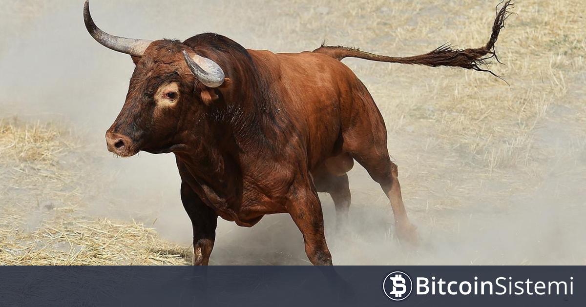kripto para piyasasının tanınmış analistlerinden biri olan Michaël van de