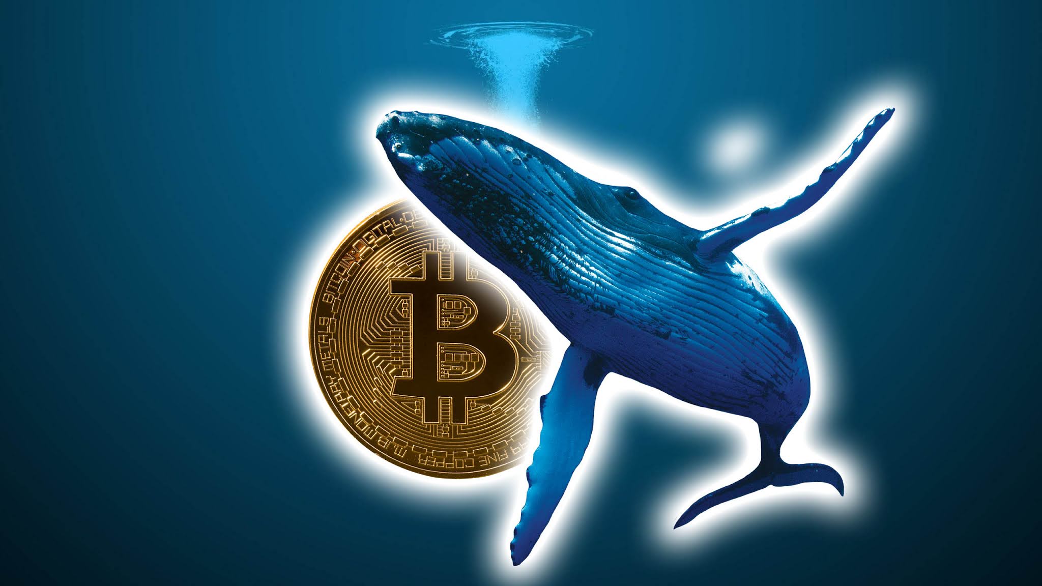 bitcoin Balinaları Piyasada Büyük Alımlar Yapıyor Son raporlara göre, son