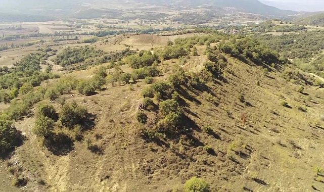 Anadolu Selçuklu Sultanı 1. Kılıçarslan’ın Zaferi: 1101 Yılı Haçlı Seferleri
