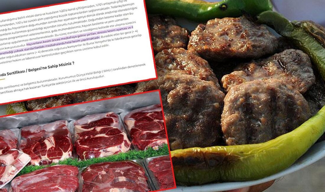 Ünlü Köftecinin Domuz Eti Skandalı Domuz Eti Skandalı Ortaya Çıktı
