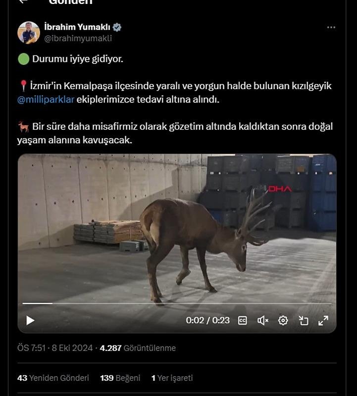 Kızılgeyik