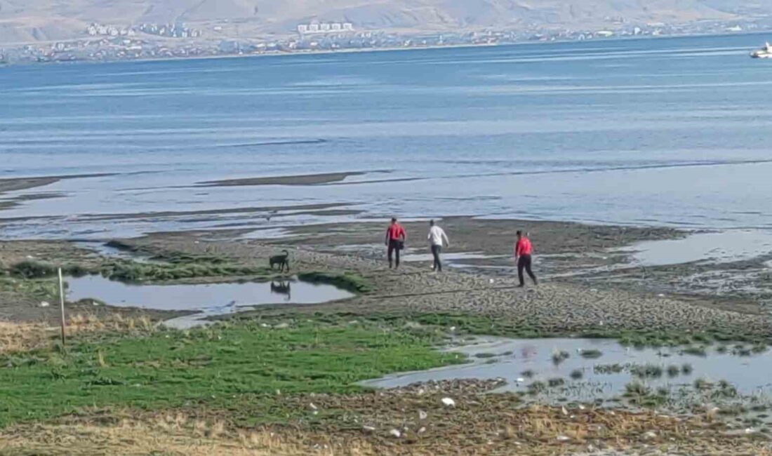 Van Yüzüncü Yıl Üniversitesi Öğrencisi Aranıyor: Jandarma Sualtı Kadavra Köpeği