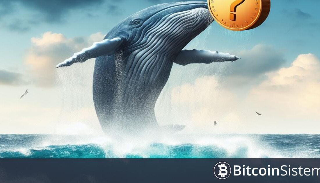 kripto Para Cüzdanı 12 Saat İçinde 421 Kat Kar Etti
