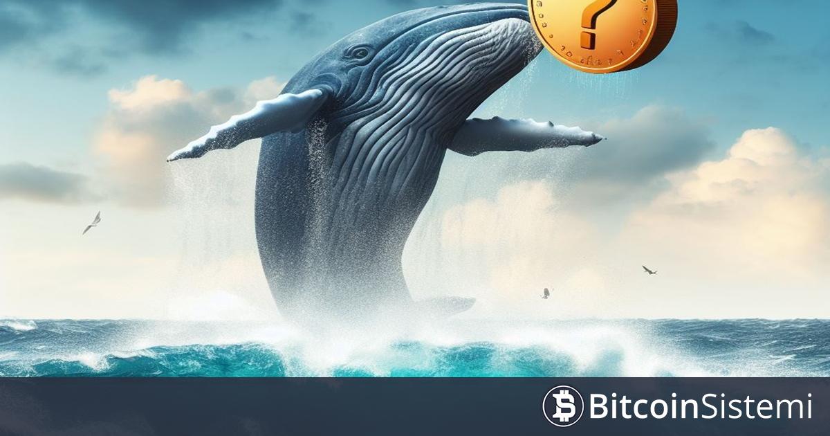 Kripto Cuzdani 428 Dolardan 180000 Dolara Nasil Yukseldi Islemler Ortaya