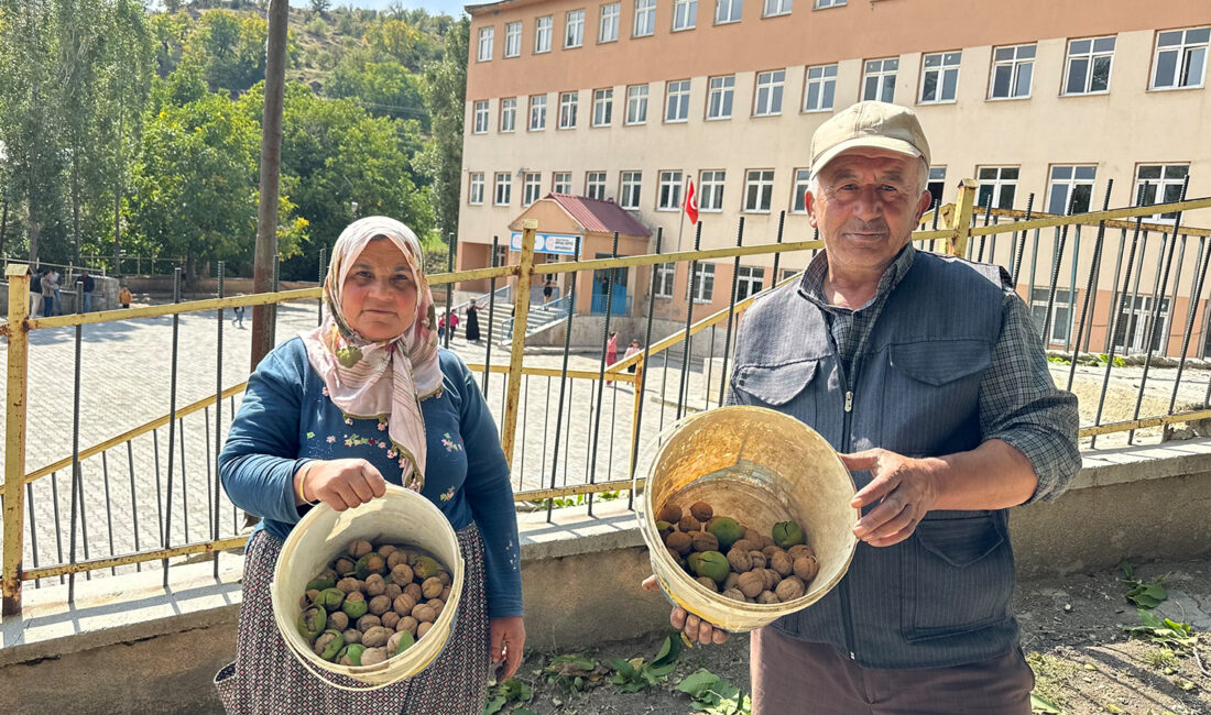 Ceviz Ağacıyla Okul Yolunu Temizleyen Aile, Öğrencilere İkramda Bulunuyor Ortaç