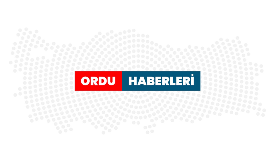 Ordu Üniversitesi 2025’te Araştırma Kalitesinde Yükseliş Gösterdi Ordu Üniversitesi, Times