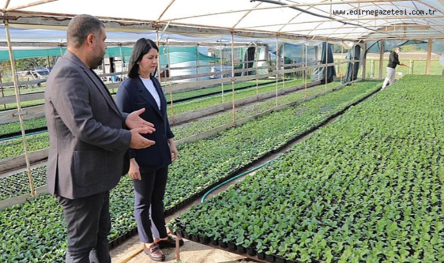 Edirne Belediye Başkanı, Park ve Bahçeler Müdürlüğü’nün Sonbahar ve Kış