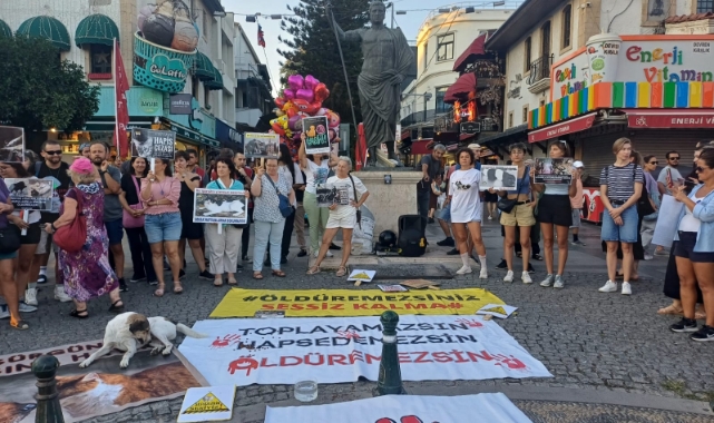 Hayvan Hakları Savunucuları, Yeni Hayvan Hakları Yasasını Protesto Ediyor Platformlar