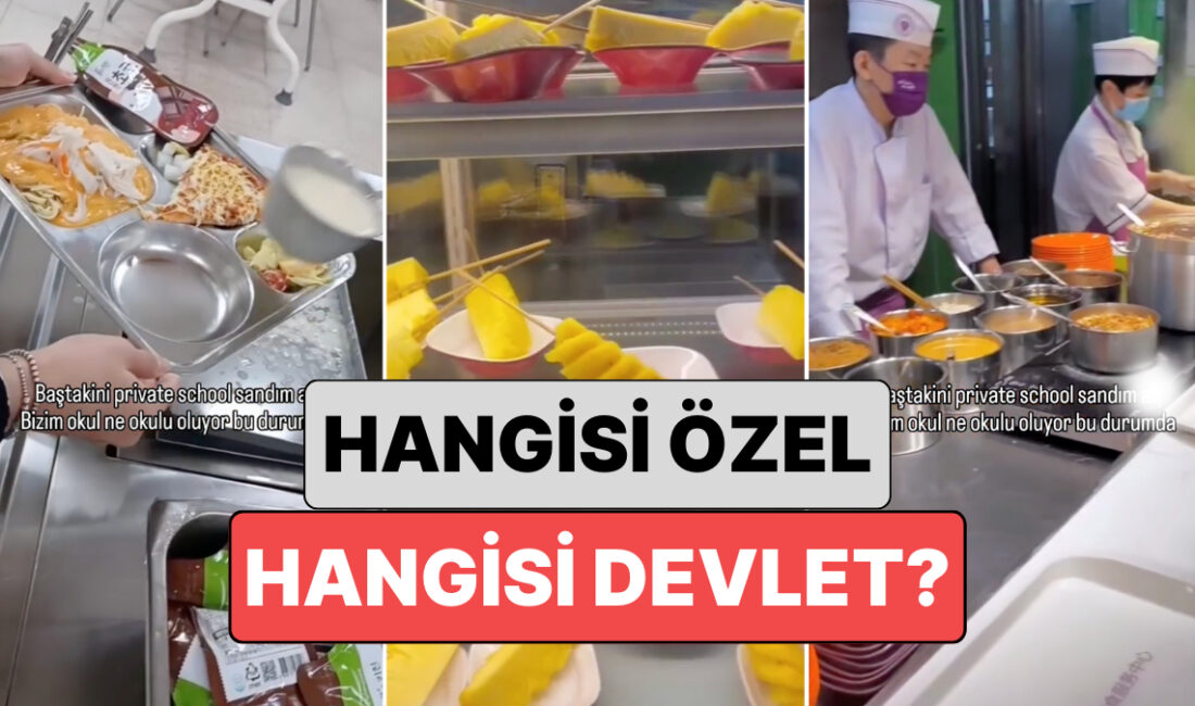 Devlet Okulu ve Özel Okul Karşılaştırması Viral Oldu H2: Sosyal
