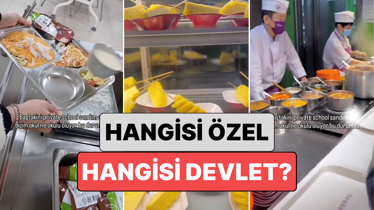 Yurt Disinda Bir Ogrenci Ozel Okul ve Devlet Okulu Arasindaki