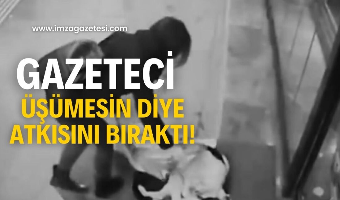Zonguldak’ta Bir Köpeği Üşümesinden Koruyan Kadın Sosyal Medyada Takdir Topladı
