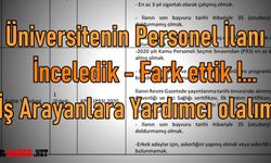 Üniversite'nin İş İlanı... Aranan Niteliklerin Niteliği...