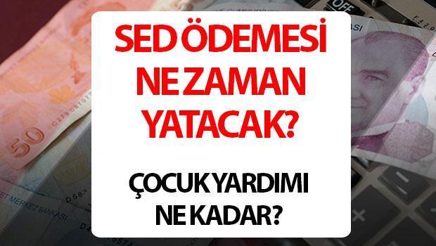 2024 Sosyal ve Ekonomik Destek (SED) Kasım Ayı Ödeme Tarihleri