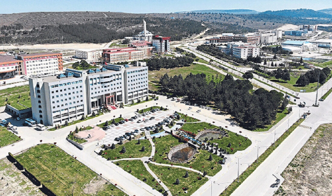 2024 yılı için akademik kadro ilanları 21 Kasım Perşembe günü
