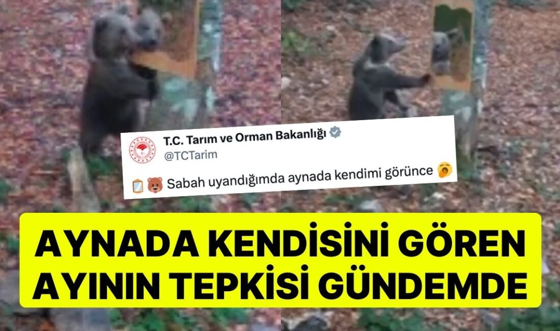 Bartın Doğa Koruma ve Milli Parklar Ekipleri, Vahşi Hayvanların Tepkisini