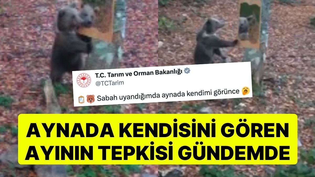 Bartın Doğa Koruma ve Milli Parklar Ekipleri, Vahşi Hayvanların Tepkisini