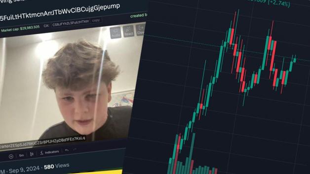 Genç Bir Amerikalı, Meme Coin Oluşturarak 30 Bin Dolar Kazandı