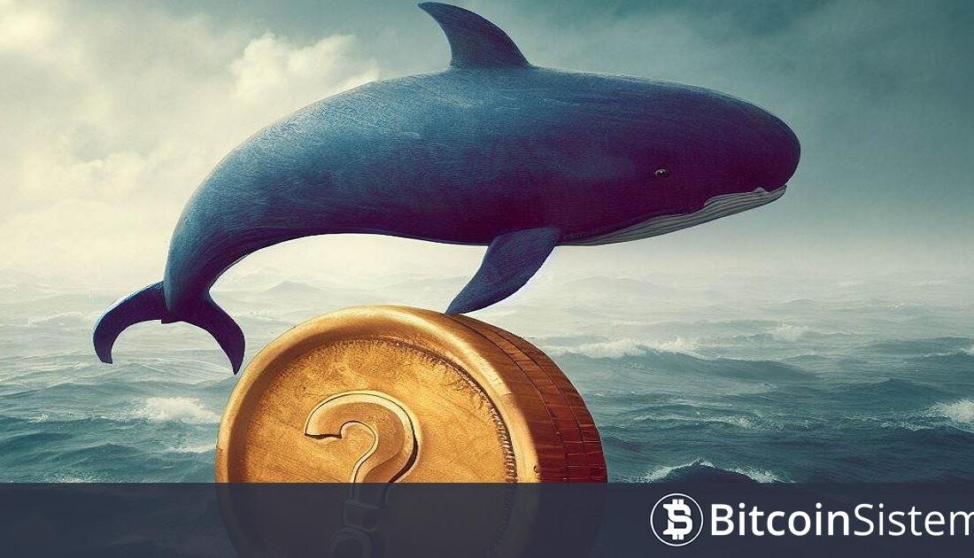 PNUT isimli memecoin ile ilgili büyük bir kripto para balinasının