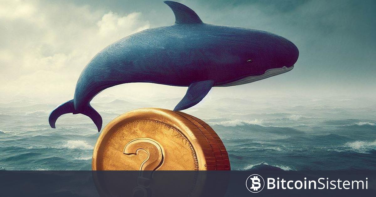 PNUT isimli memecoin ile ilgili büyük bir kripto para balinasının