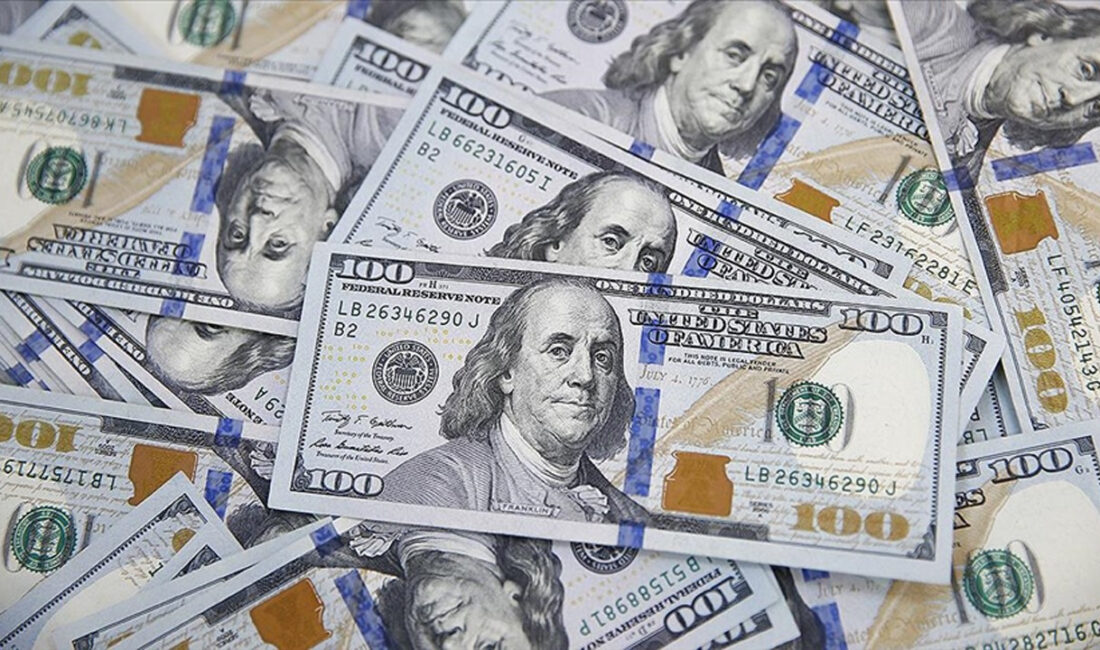 Merkez Bankası Rezervlerinde Yaşanan Düşüşler, TL ve Dolar Değerlerini Nasıl