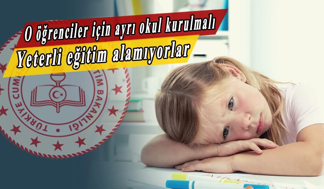 Türkiye’de Otizmli Öğrenciler için Özel Eğitim Sorunları Özel Eğitim Sınıflarında